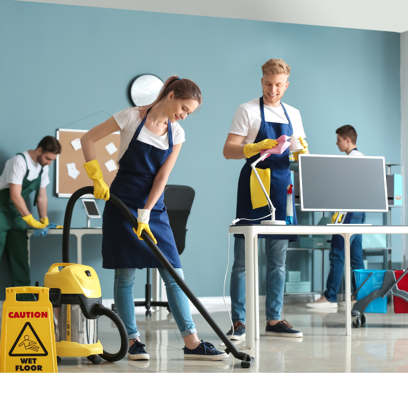 cleaning3 cleaning3